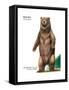 Brown Bear (Ursus Arctos), Mammals-Encyclopaedia Britannica-Framed Stretched Canvas