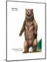 Brown Bear (Ursus Arctos), Mammals-Encyclopaedia Britannica-Mounted Poster