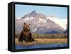 Brown Bear with Salmon Catch, Katmai National Park, Alaskan Peninsula, USA-Steve Kazlowski-Framed Stretched Canvas