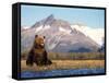 Brown Bear with Salmon Catch, Katmai National Park, Alaskan Peninsula, USA-Steve Kazlowski-Framed Stretched Canvas