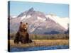 Brown Bear with Salmon Catch, Katmai National Park, Alaskan Peninsula, USA-Steve Kazlowski-Stretched Canvas