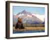 Brown Bear with Salmon Catch, Katmai National Park, Alaskan Peninsula, USA-Steve Kazlowski-Framed Premium Photographic Print