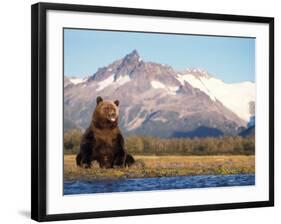 Brown Bear with Salmon Catch, Katmai National Park, Alaskan Peninsula, USA-Steve Kazlowski-Framed Premium Photographic Print