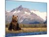 Brown Bear with Salmon Catch, Katmai National Park, Alaskan Peninsula, USA-Steve Kazlowski-Mounted Premium Photographic Print
