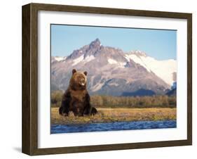 Brown Bear with Salmon Catch, Katmai National Park, Alaskan Peninsula, USA-Steve Kazlowski-Framed Photographic Print