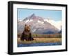 Brown Bear with Salmon Catch, Katmai National Park, Alaskan Peninsula, USA-Steve Kazlowski-Framed Photographic Print