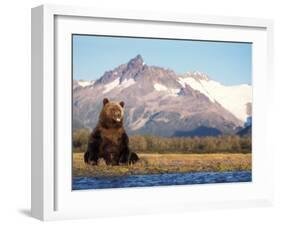 Brown Bear with Salmon Catch, Katmai National Park, Alaskan Peninsula, USA-Steve Kazlowski-Framed Photographic Print