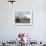 Brown Bear with Salmon Catch, Katmai National Park, Alaskan Peninsula, USA-Steve Kazlowski-Framed Photographic Print displayed on a wall