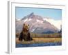 Brown Bear with Salmon Catch, Katmai National Park, Alaskan Peninsula, USA-Steve Kazlowski-Framed Photographic Print