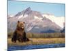 Brown Bear with Salmon Catch, Katmai National Park, Alaskan Peninsula, USA-Steve Kazlowski-Mounted Photographic Print