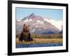 Brown Bear with Salmon Catch, Katmai National Park, Alaskan Peninsula, USA-Steve Kazlowski-Framed Photographic Print