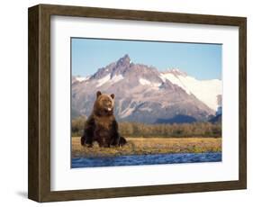 Brown Bear with Salmon Catch, Katmai National Park, Alaskan Peninsula, USA-Steve Kazlowski-Framed Photographic Print