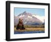 Brown Bear with Salmon Catch, Katmai National Park, Alaskan Peninsula, USA-Steve Kazlowski-Framed Photographic Print