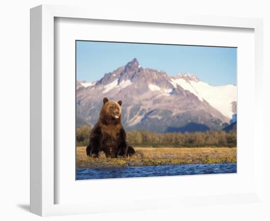 Brown Bear with Salmon Catch, Katmai National Park, Alaskan Peninsula, USA-Steve Kazlowski-Framed Photographic Print