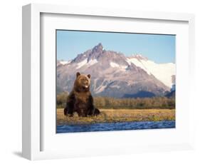 Brown Bear with Salmon Catch, Katmai National Park, Alaskan Peninsula, USA-Steve Kazlowski-Framed Photographic Print