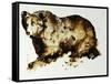 Brown Bear-Sydney Edmunds-Framed Stretched Canvas