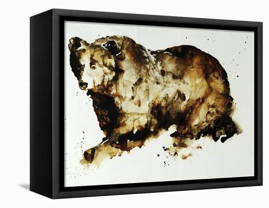 Brown Bear-Sydney Edmunds-Framed Stretched Canvas