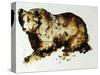 Brown Bear-Sydney Edmunds-Stretched Canvas