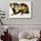 Brown Bear-Sydney Edmunds-Giclee Print displayed on a wall