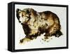 Brown Bear-Sydney Edmunds-Framed Stretched Canvas