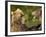 Brown Bears Fighting, Kronotsky Nature Reserve, Kamchatka, Far East Russia-Igor Shpilenok-Framed Photographic Print