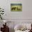 Brown Bears Sparring in Meadow at Hallo Bay-Paul Souders-Photographic Print displayed on a wall