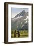 Brown Bears Sparring in Meadow at Kukak Bay-Paul Souders-Framed Photographic Print