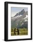 Brown Bears Sparring in Meadow at Kukak Bay-Paul Souders-Framed Photographic Print