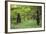 Brown Bears Standing on Baranof Island-null-Framed Photographic Print