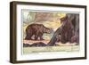 Brown Bears-null-Framed Art Print
