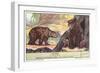 Brown Bears-null-Framed Art Print