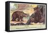 Brown Bears-null-Framed Stretched Canvas