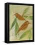 Brown Birds at Rest-Tim Nyberg-Framed Stretched Canvas