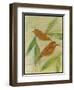 Brown Birds at Rest-Tim Nyberg-Framed Giclee Print