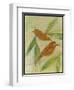 Brown Birds at Rest-Tim Nyberg-Framed Giclee Print