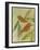 Brown Birds at Rest-Tim Nyberg-Framed Giclee Print