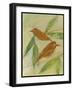 Brown Birds at Rest-Tim Nyberg-Framed Giclee Print