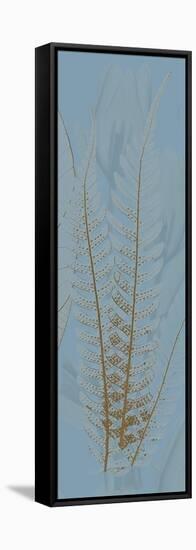 Brown Blue Fern-Albert Koetsier-Framed Stretched Canvas