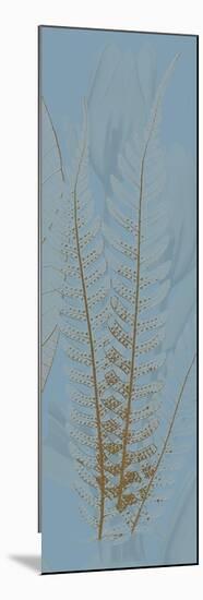 Brown Blue Fern-Albert Koetsier-Mounted Premium Giclee Print