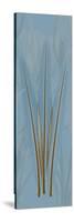 Brown Blue Palm-Albert Koetsier-Stretched Canvas