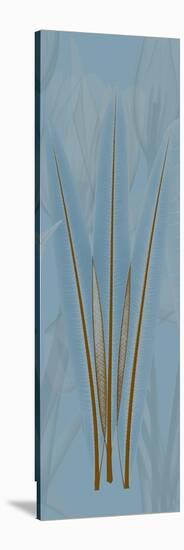 Brown Blue Palm-Albert Koetsier-Stretched Canvas