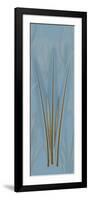 Brown Blue Palm-Albert Koetsier-Framed Art Print