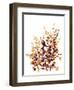 Brown Botanicals-Katrina Pete-Framed Art Print