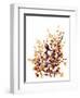 Brown Botanicals-Katrina Pete-Framed Art Print