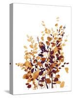 Brown Botanicals-Katrina Pete-Stretched Canvas