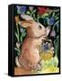 Brown Bunny-sylvia pimental-Framed Stretched Canvas