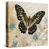 Brown Butterfly-Alan Hopfensperger-Stretched Canvas