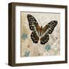 Brown Butterfly-Alan Hopfensperger-Framed Art Print