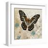 Brown Butterfly-Alan Hopfensperger-Framed Art Print