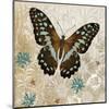 Brown Butterfly-Alan Hopfensperger-Mounted Art Print